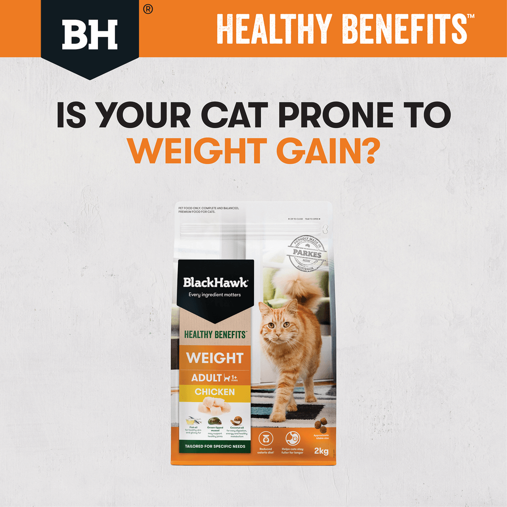 Healthy Benefits Dry Cat Food Adult Weight Chicken