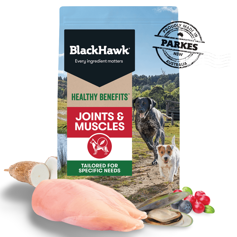 Healthy Benefits Joints & Muscles Chicken Adult Dry Dog Food