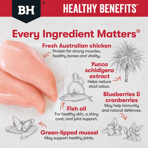 Healthy Benefits Joints & Muscles Chicken Adult Dry Dog Food