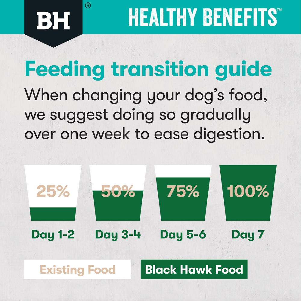 Healthy Benefits Sensitive Skin & Gut Adult Dry Dog Food