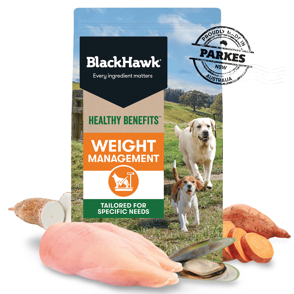 Healthy Benefits Weight Management Adult Dry Dog Food