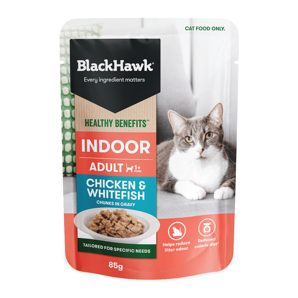 Healthy Benefits Wet Cat Food Adult Indoor Chicken And Fish In Gravy Pouches