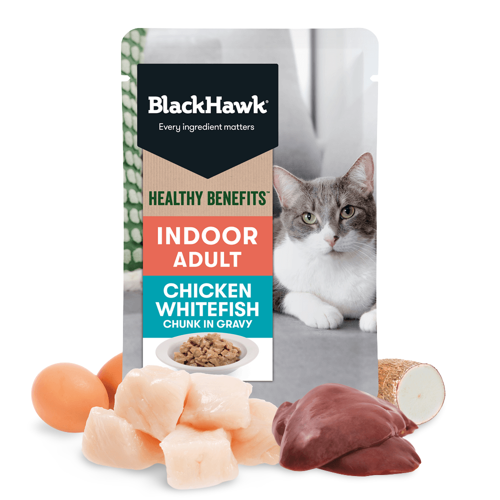 Healthy Benefits Wet Cat Food Adult Indoor Chicken And Fish In Gravy Pouches