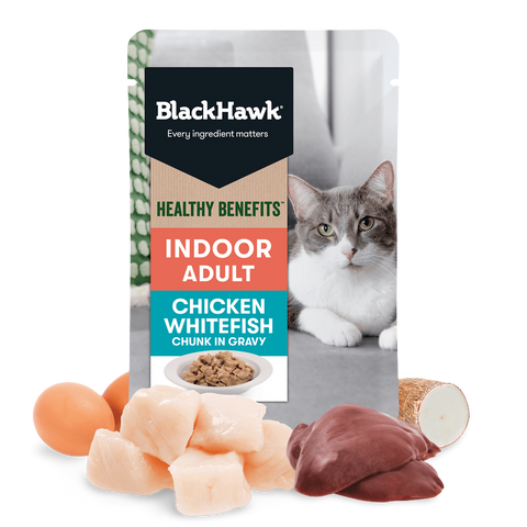 Healthy Benefits Wet Cat Food Adult Indoor Chicken And Fish In Gravy Pouches
