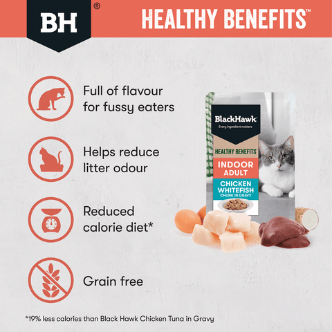 Healthy Benefits Wet Cat Food Adult Indoor Chicken And Fish In Gravy Pouches
