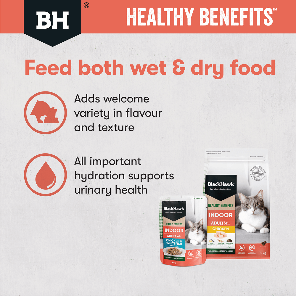 Healthy Benefits Wet Cat Food Adult Indoor Chicken And Fish In Gravy Pouches