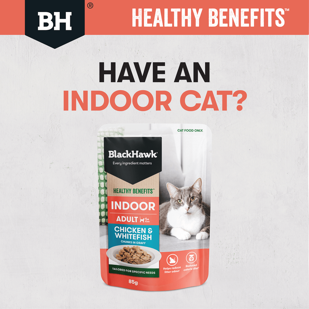 Healthy Benefits Wet Cat Food Adult Indoor Chicken And Fish In Gravy Pouches