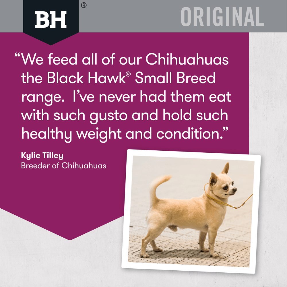 Lamb & Rice Small Breed Adult Dry Dog Food