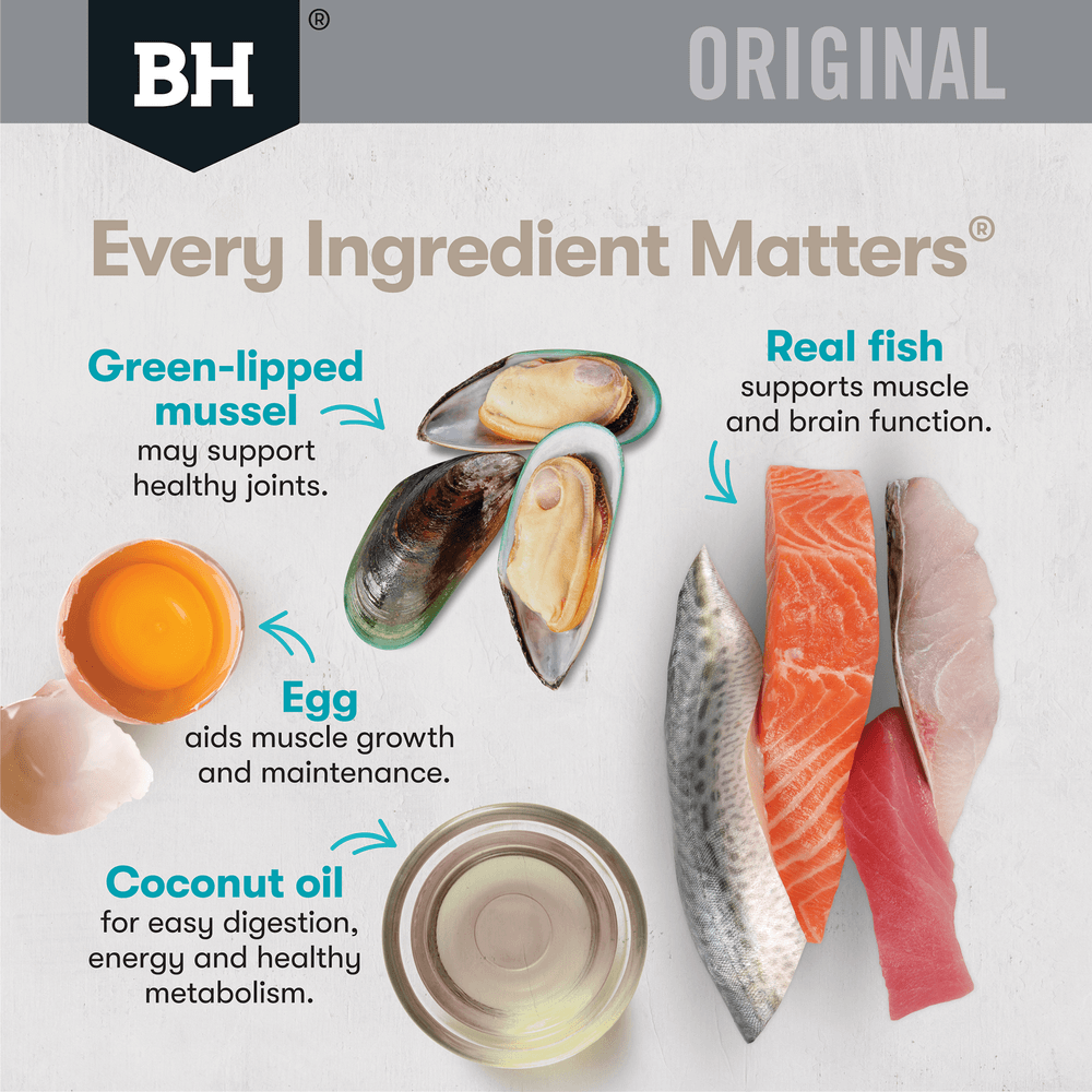 Original Dry Cat Food Adult Ocean Fish