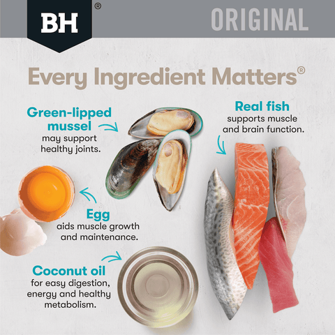 Original Dry Cat Food Adult Ocean Fish