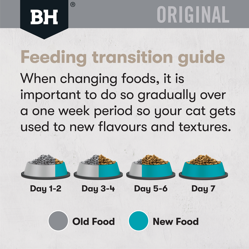 Original Dry Cat Food Adult Ocean Fish