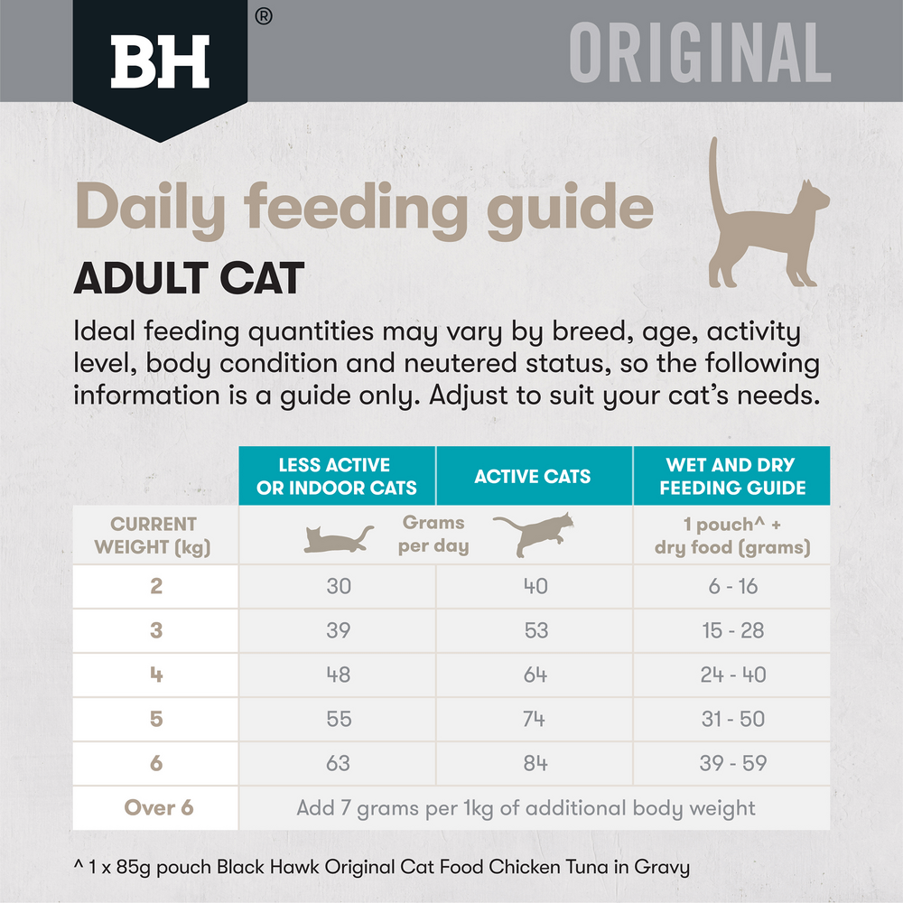 Original Dry Cat Food Adult Ocean Fish