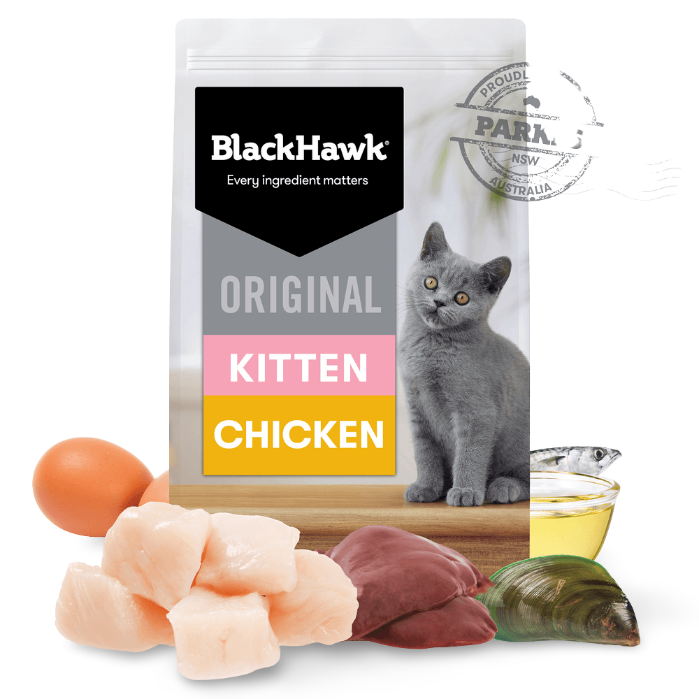 Original Dry Cat Food Kitten Chicken