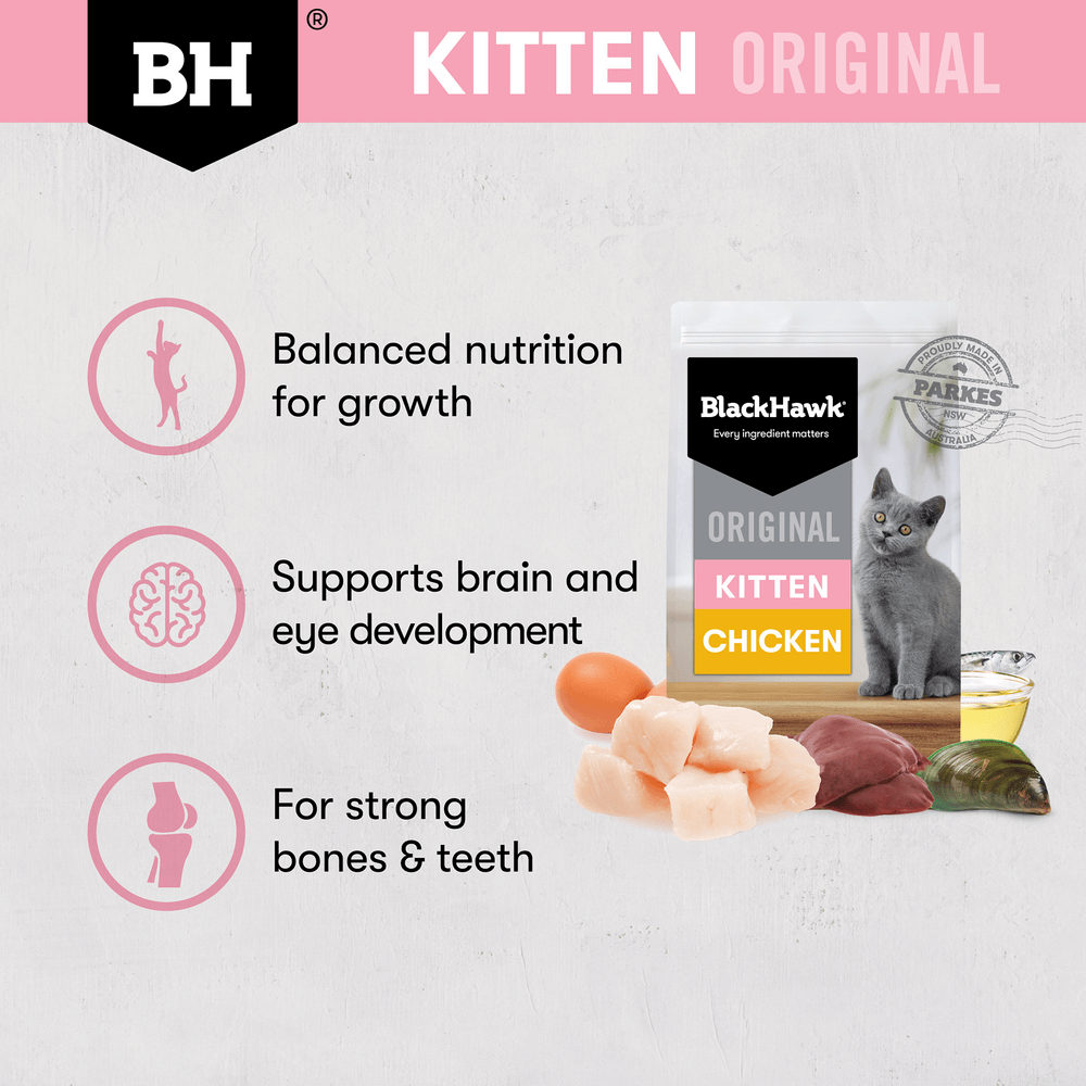 Original Dry Cat Food Kitten Chicken