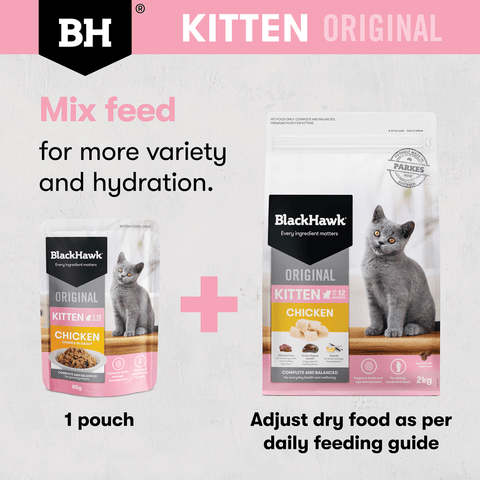 Original Dry Cat Food Kitten Chicken