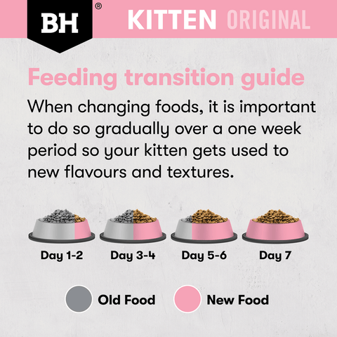 Original Dry Cat Food Kitten Chicken