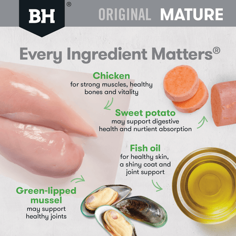 Original Chicken & Rice Senior Dry Dog Food