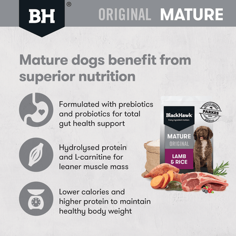 Original Lamb & Rice Mature Dry Dog Food