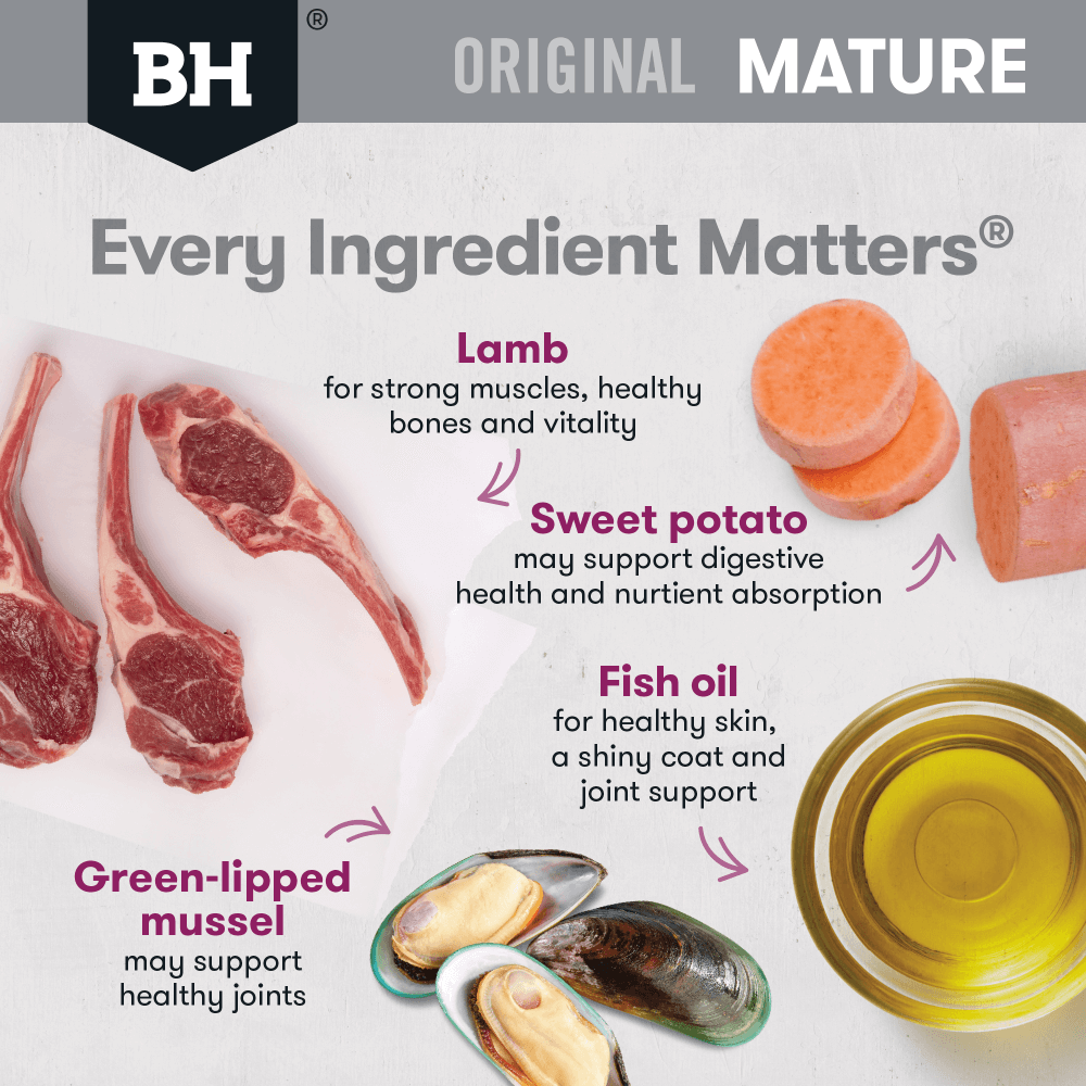 Original Lamb & Rice Mature Dry Dog Food