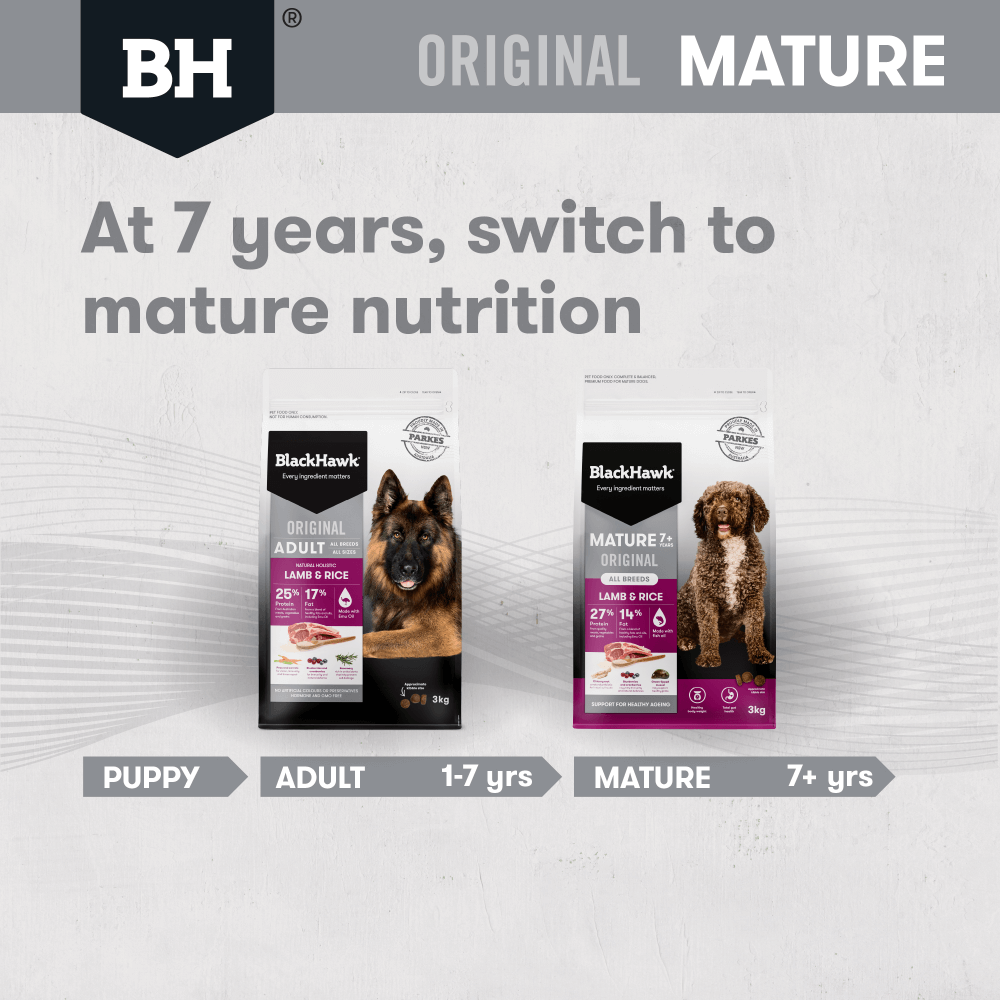 Original Lamb & Rice Mature Dry Dog Food