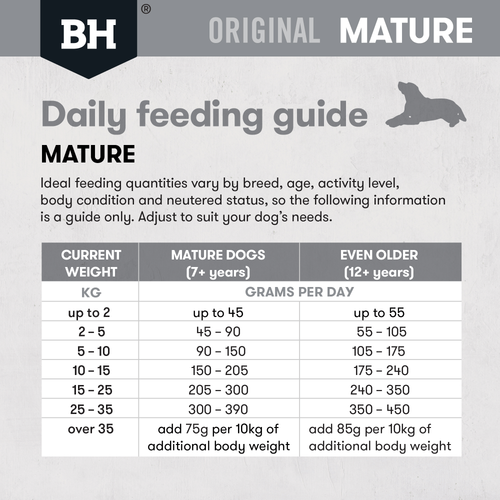 Original Lamb & Rice Mature Dry Dog Food