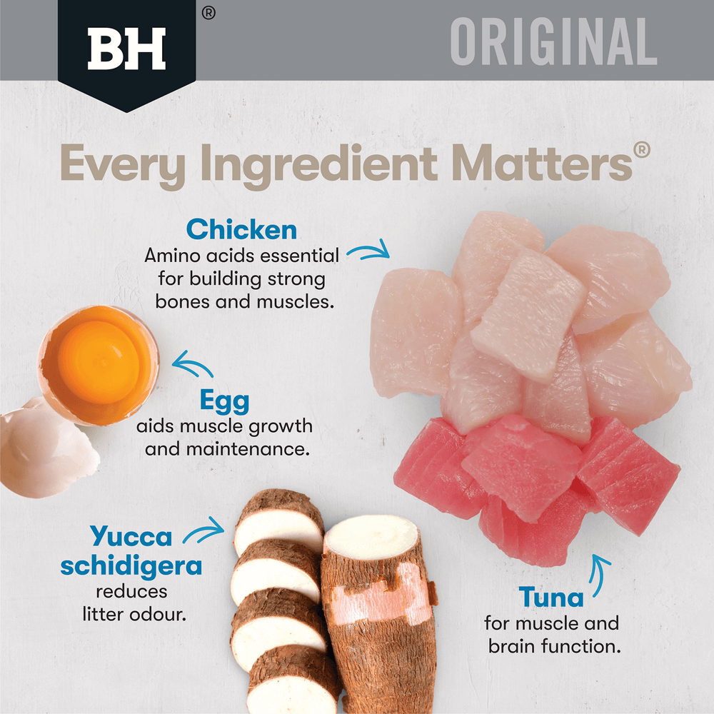 Wet Cat Food Adult Chicken And Seafood In Gravy Pouches