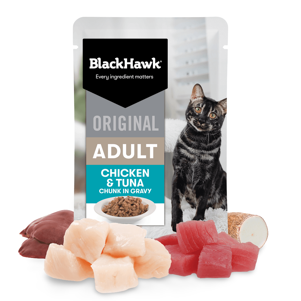 Wet Cat Food Adult Chicken And Tuna In Gravy Pouches