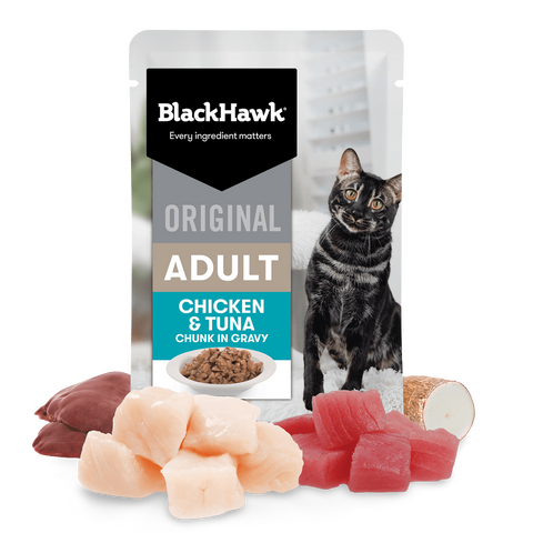 Wet Cat Food Adult Chicken And Tuna In Gravy Pouches
