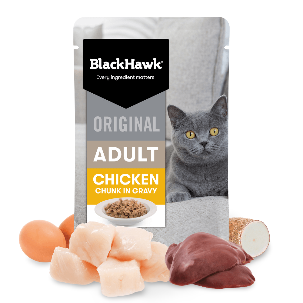 Wet Cat Food Adult Chicken In Gravy Pouches