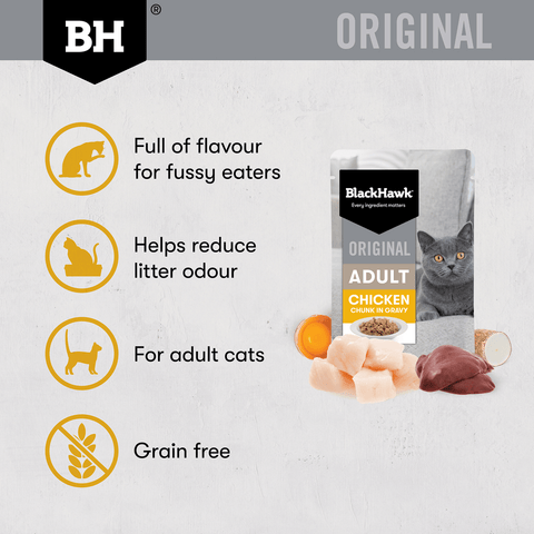 Wet Cat Food Adult Chicken In Gravy Pouches