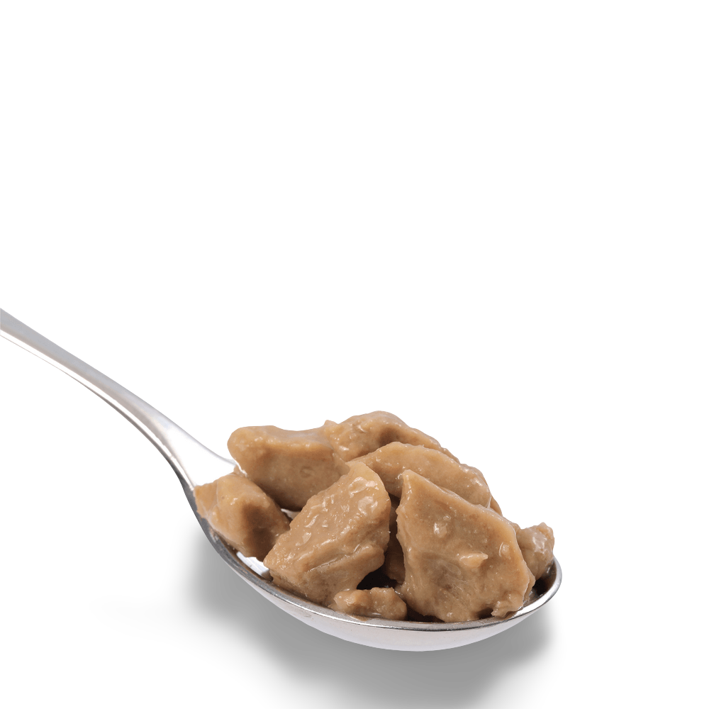 Wet Cat Food Adult Chicken In Gravy Pouches