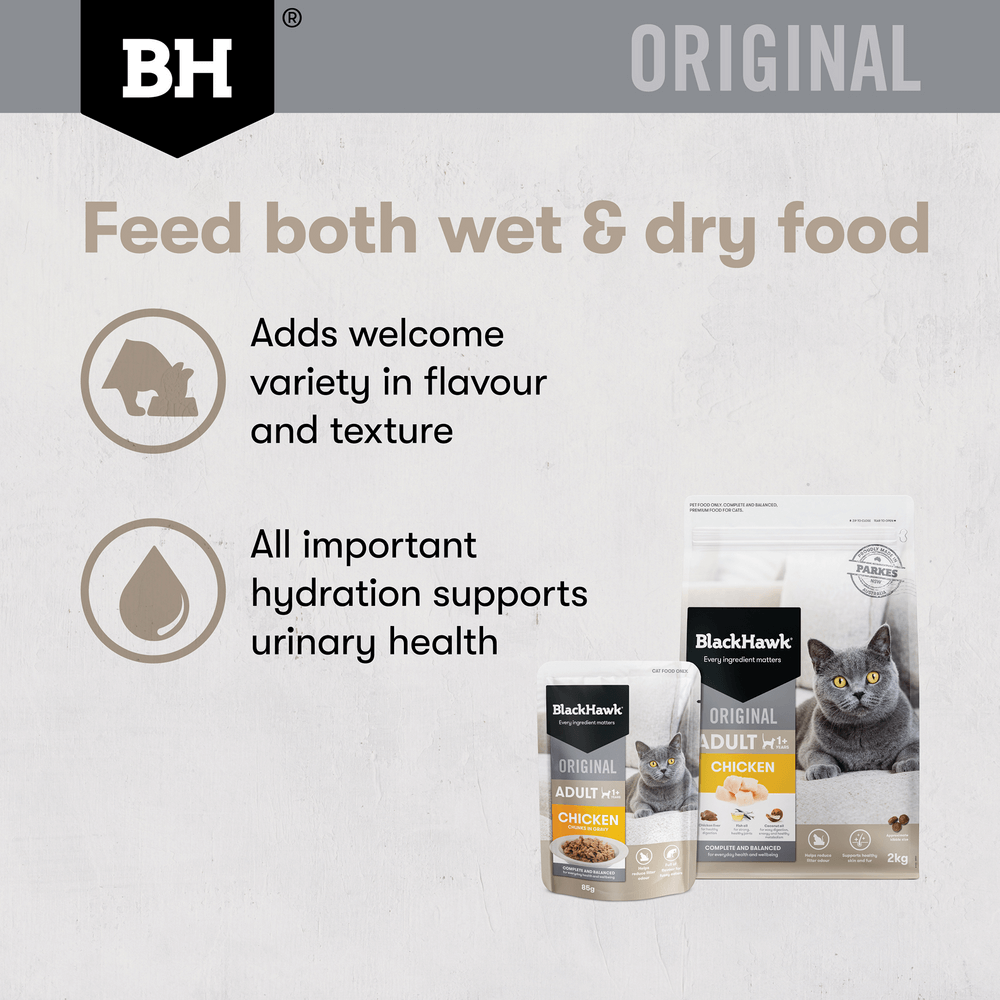 Wet Cat Food Adult Chicken In Gravy Pouches