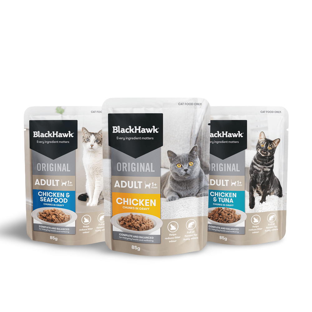 Wet Cat Food Adult Variety Pack Chunks In Gravy Pouches