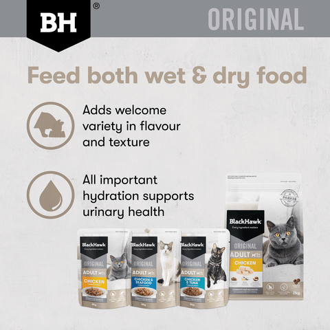 Wet Cat Food Adult Variety Pack Chunks In Gravy Pouches