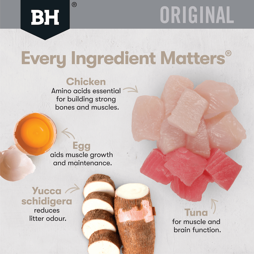 Wet Cat Food Adult Variety Pack Chunks In Gravy Pouches