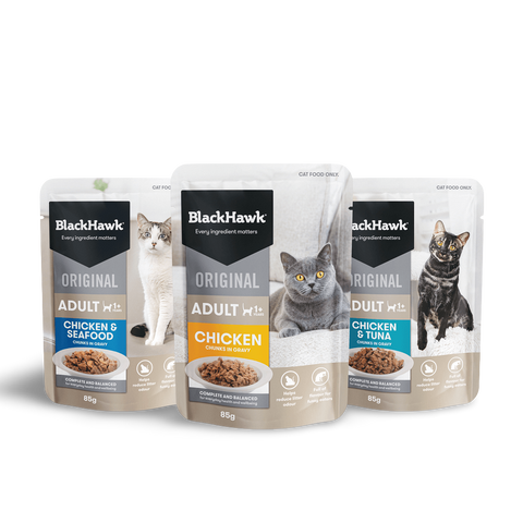 Wet Cat Food Adult Variety Pack Chunks In Gravy Pouches
