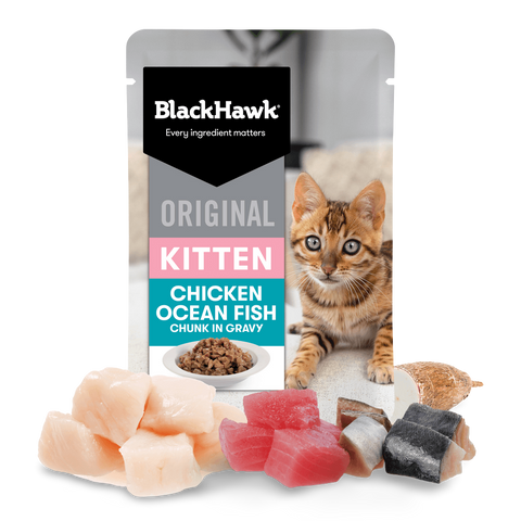 Wet Cat Food Kitten Chicken And Fish In Gravy Pouches