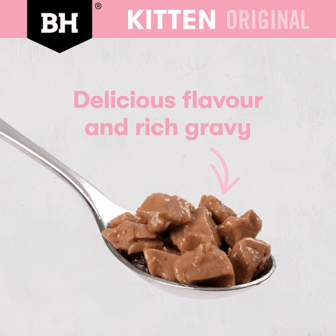 Wet Cat Food Kitten Chicken And Fish In Gravy Pouches