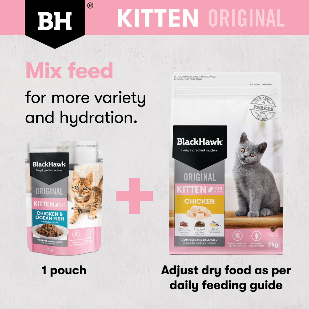 Wet Cat Food Kitten Chicken And Fish In Gravy Pouches