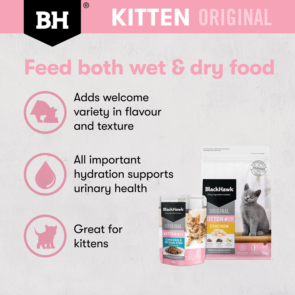 Wet Cat Food Kitten Chicken And Fish In Gravy Pouches