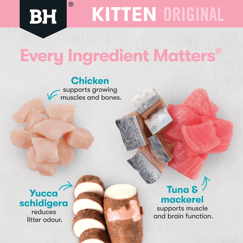 Wet Cat Food Kitten Chicken And Fish In Gravy Pouches