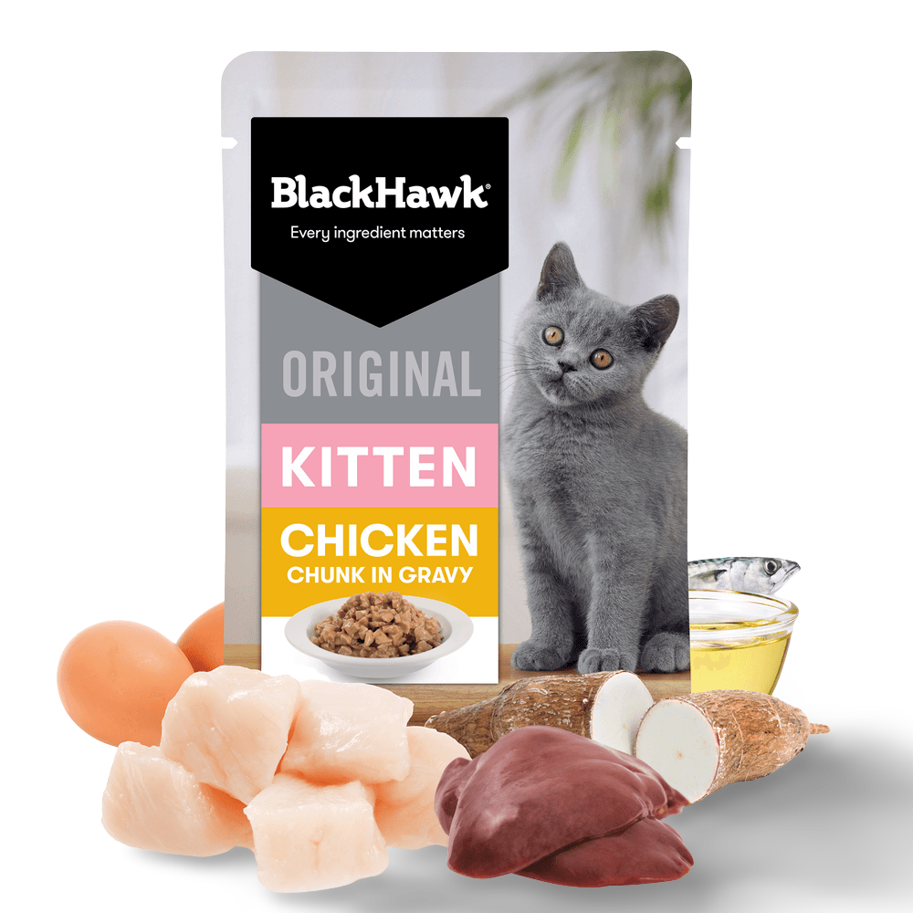 Wet Cat Food Kitten Chicken In Gravy Pouches