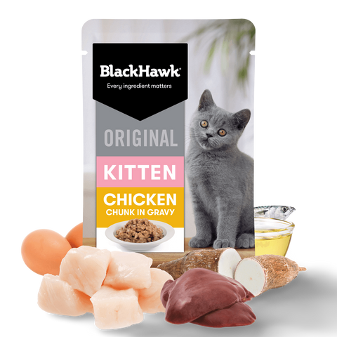 Wet Cat Food Kitten Chicken In Gravy Pouches
