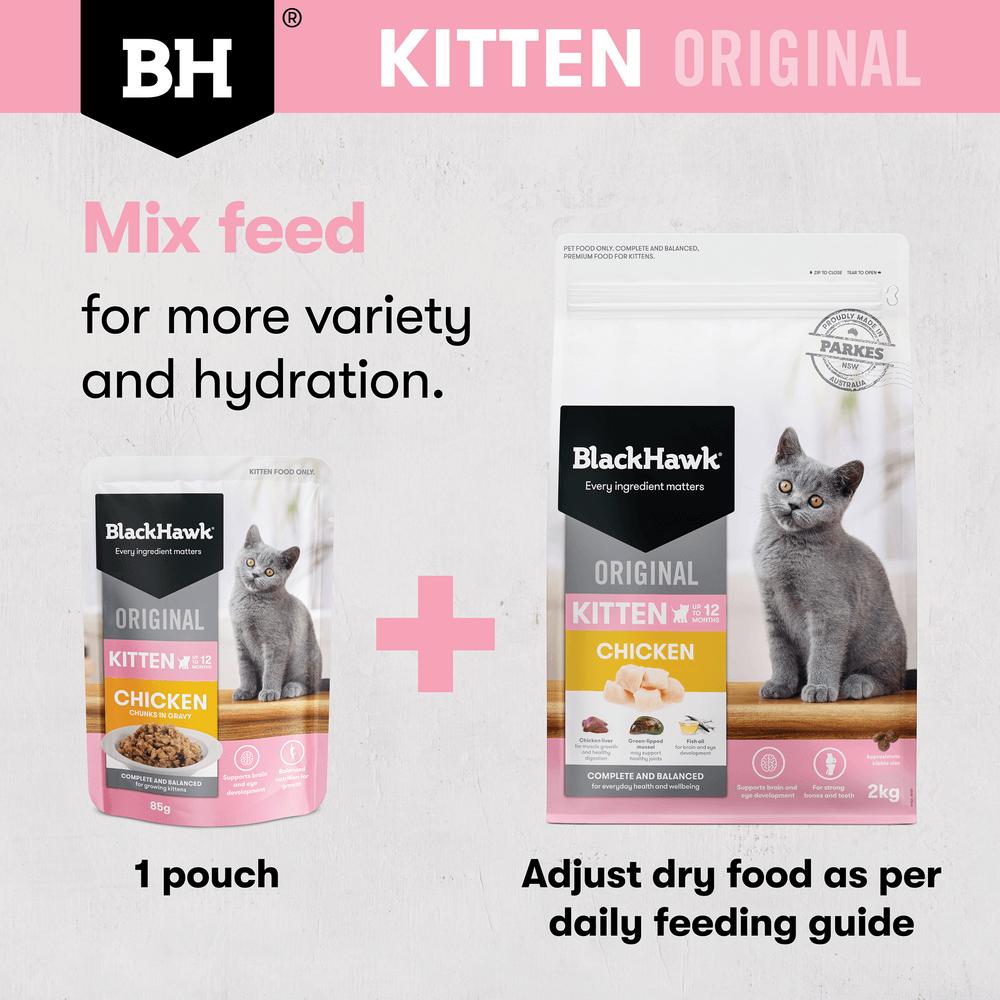 Wet Cat Food Kitten Chicken In Gravy Pouches