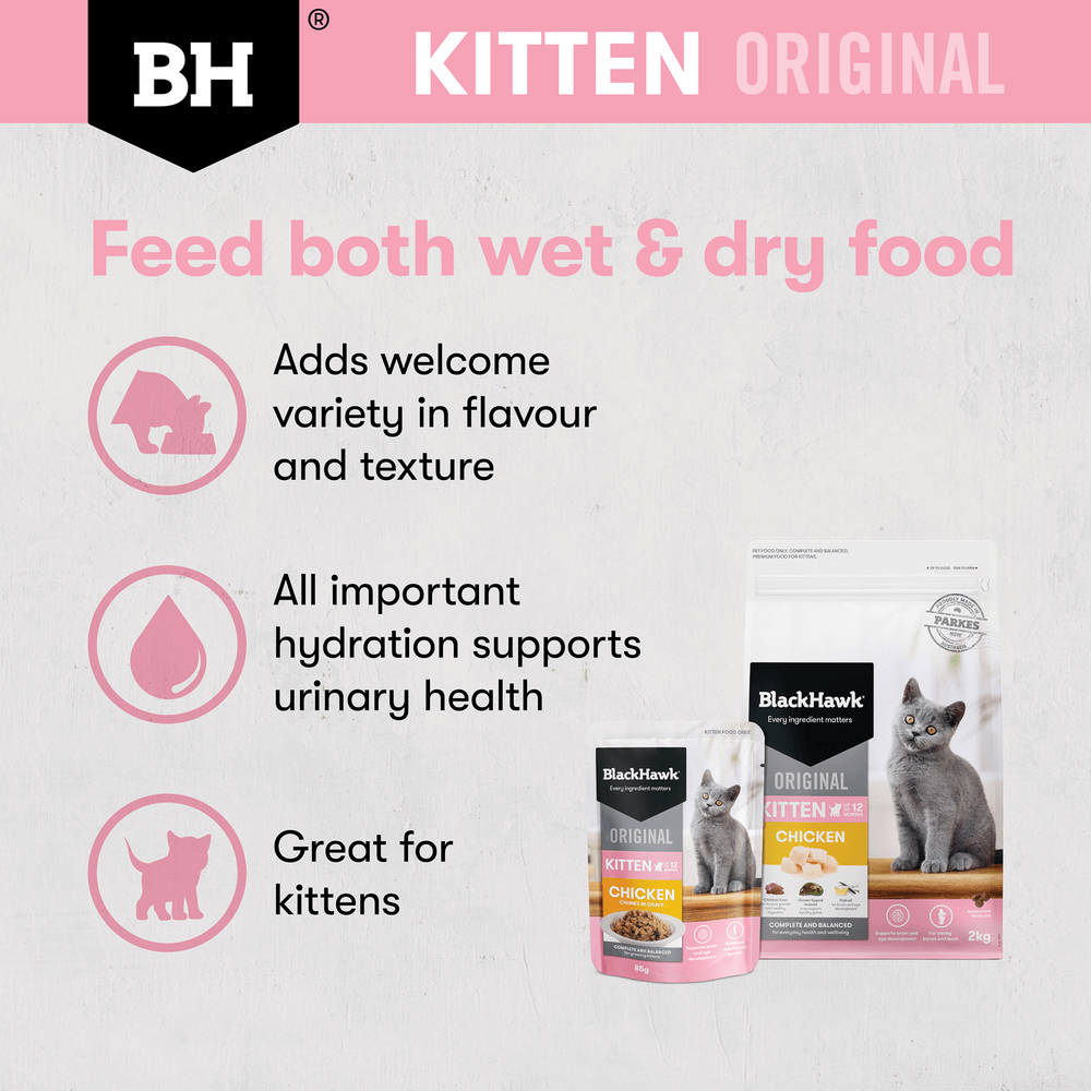 Wet Cat Food Kitten Chicken In Gravy Pouches