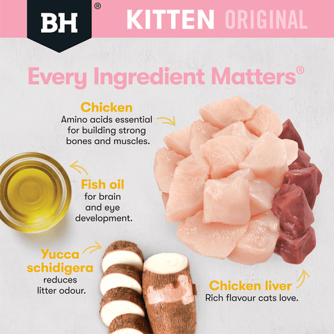 Wet Cat Food Kitten Chicken In Gravy Pouches