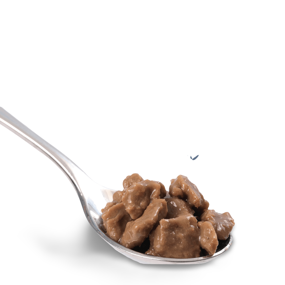 Wet Cat Food Mature Chicken And Tuna In Gravy Pouches