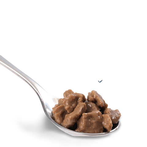 Wet Cat Food Mature Chicken And Tuna In Gravy Pouches