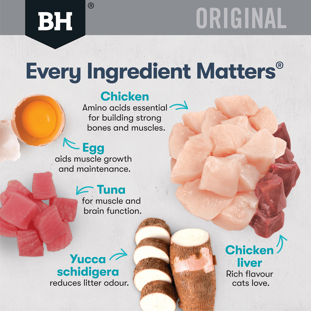 Wet Cat Food Mature Chicken And Tuna In Gravy Pouches