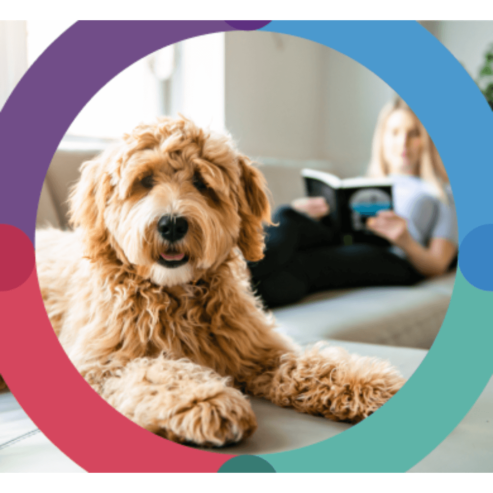 Flea & Tick Chews For Medium Dog Green